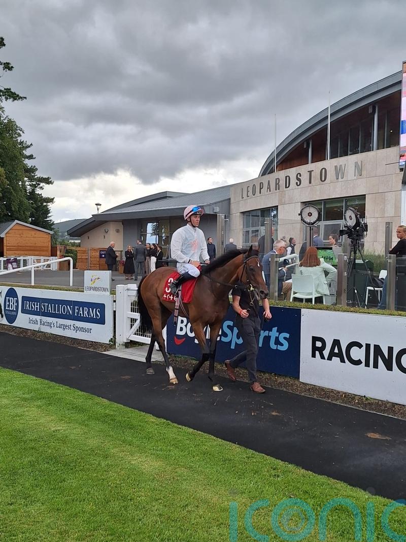 Sons And Lovers goes the distance in the Ballyroan victory