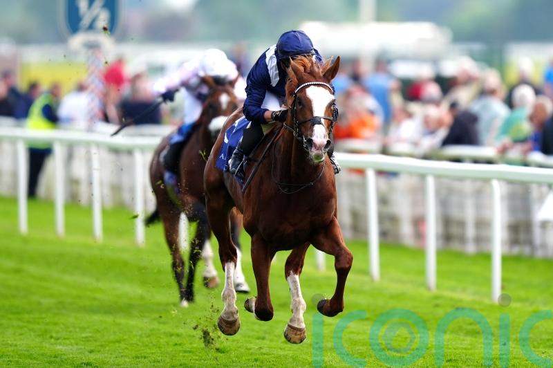 Ascot run might not add up for Haggas’ Economics