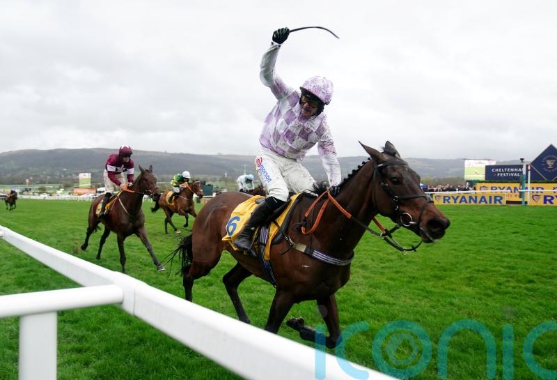 Golden Ace enjoying her summer and ‘looks a million dollars’