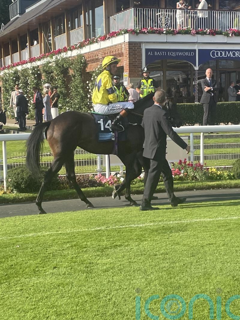 Spyce could add extra flavour to Futurity Trophy