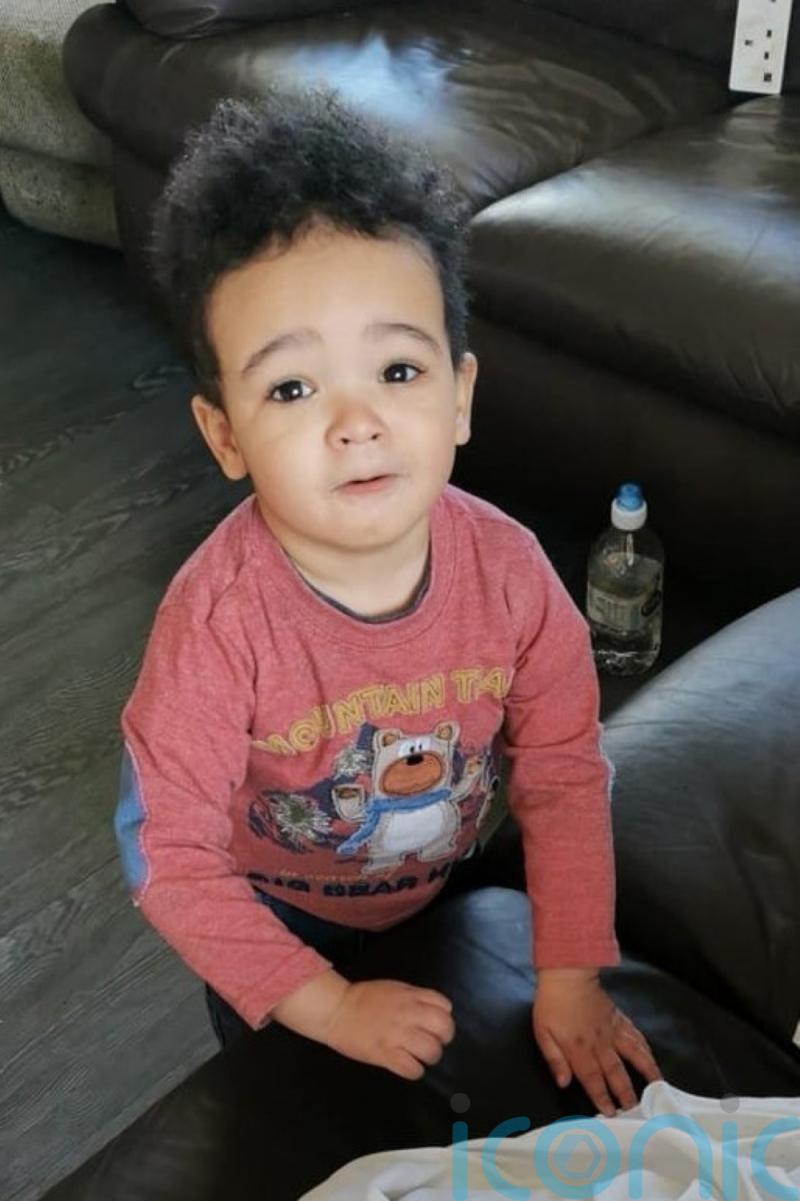 Micheal Martin cautions against ‘rush to judgment’ after remains of boy found