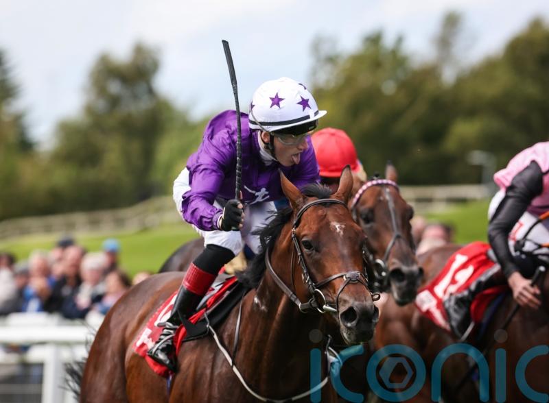 Arizona Blaze could take direct route to Breeders’ Cup