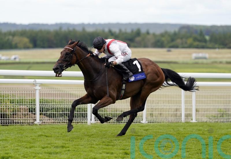 William Haggas considering Hamish plans