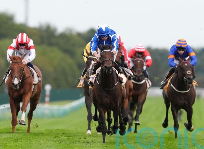 The Reverend ready to embark on hurdles career with Willie Mullins