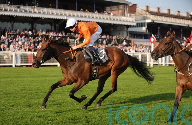 Prix Royal-Oak the next stop for Caballo De Mar