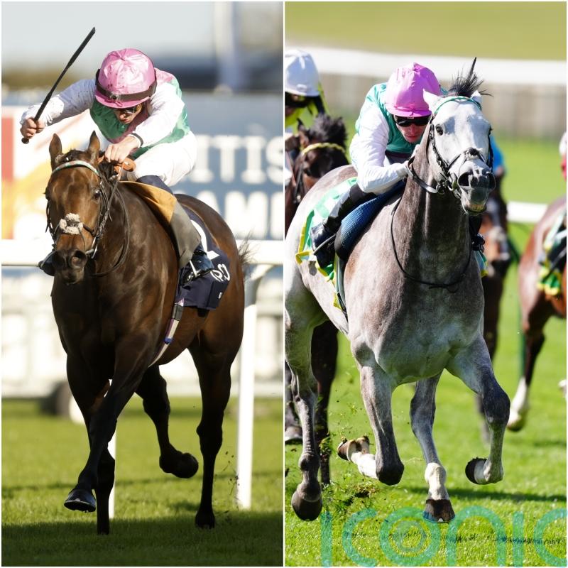 Juddmonte team considering Kalpana and Field Of Gold plans