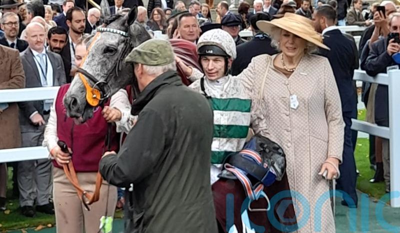 ‘Long-term project’ Alpinara set for eagerly-awaited start at Newbury