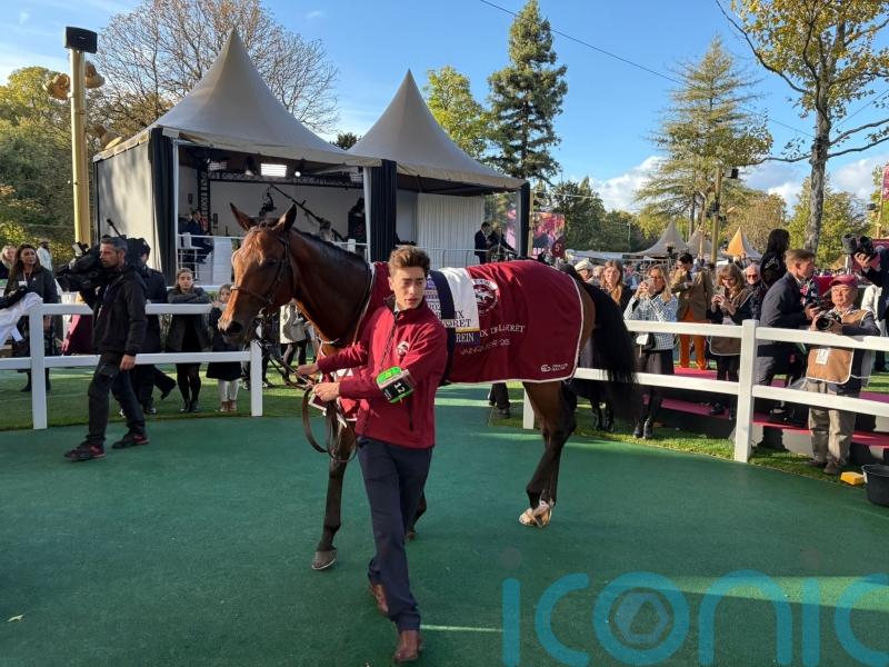 Maranoa Charlie set for stallion career after racing retirement