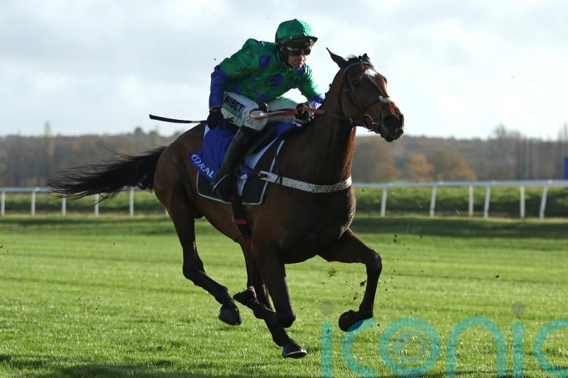 Act Of Innocence looks smart on first run for Henderson