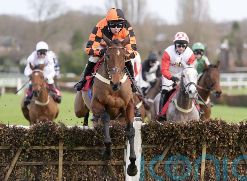 Diva Luna primed for next step on the road to Cheltenham