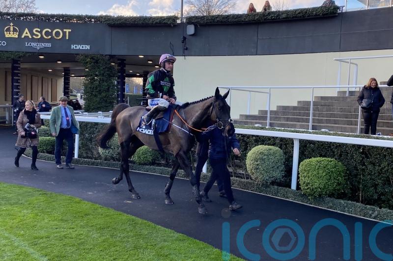 Murphy proud as Strong Leader goes down fighting