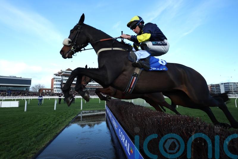 Snowden sets out Cheltenham goal for Wendigo