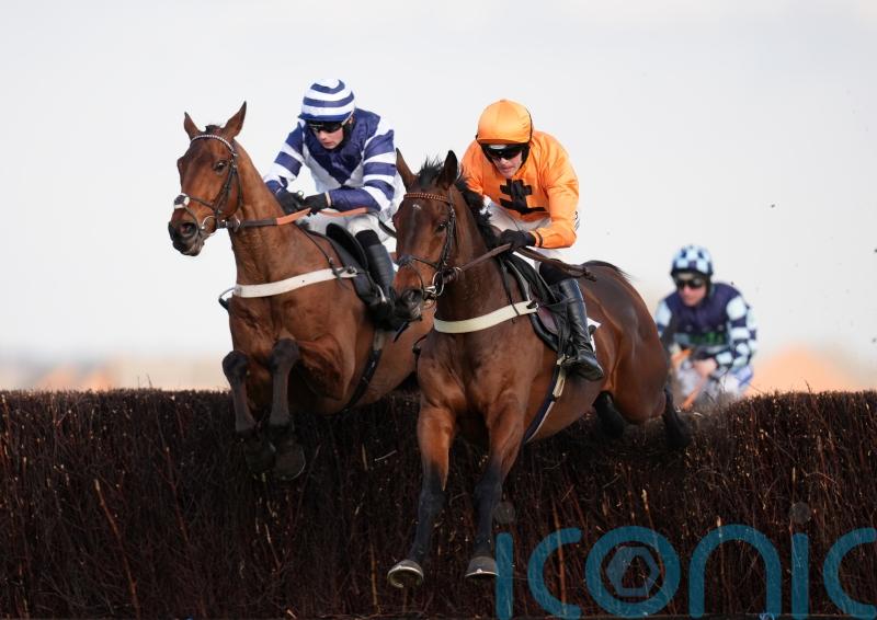 Saint Segal likely to test Game Spirit waters at Newbury